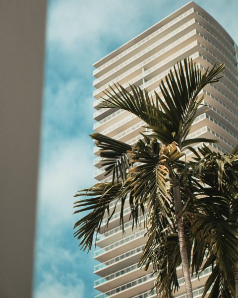 5 Things to Expect from Your Miami Property Management Company